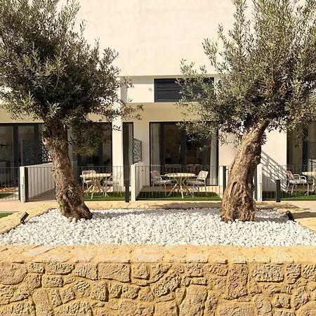 Maritime Coliving Apartment Valencia